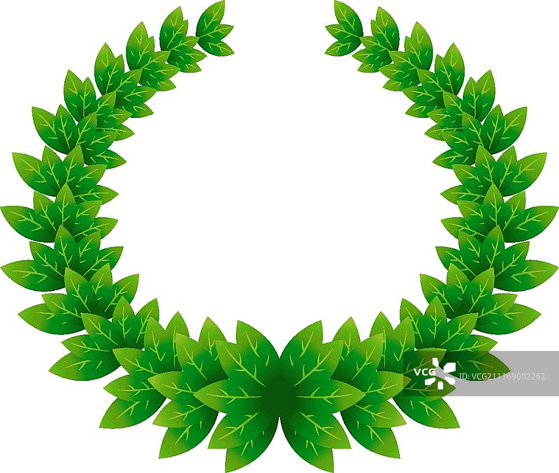 矢量月桂树图片素材