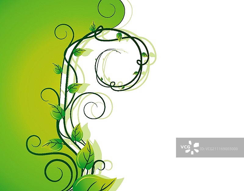 花的背景图片素材