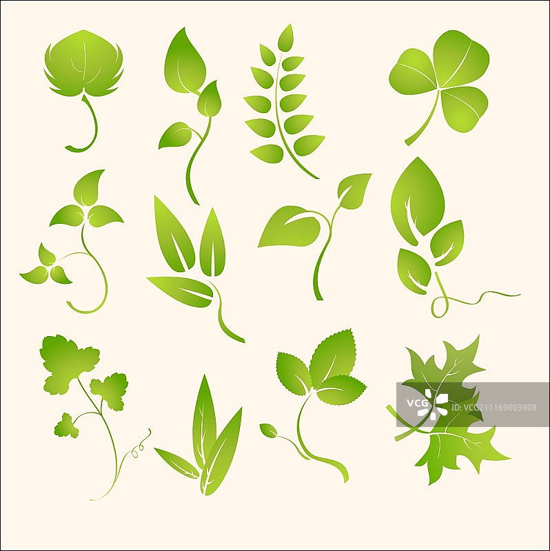 植物剪影设计矢量素材图片素材