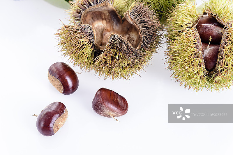板栗图片素材