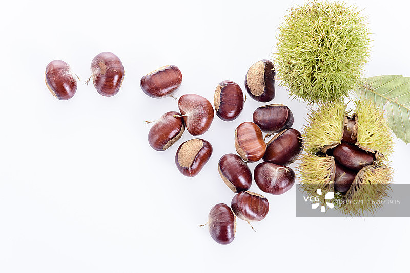 板栗图片素材