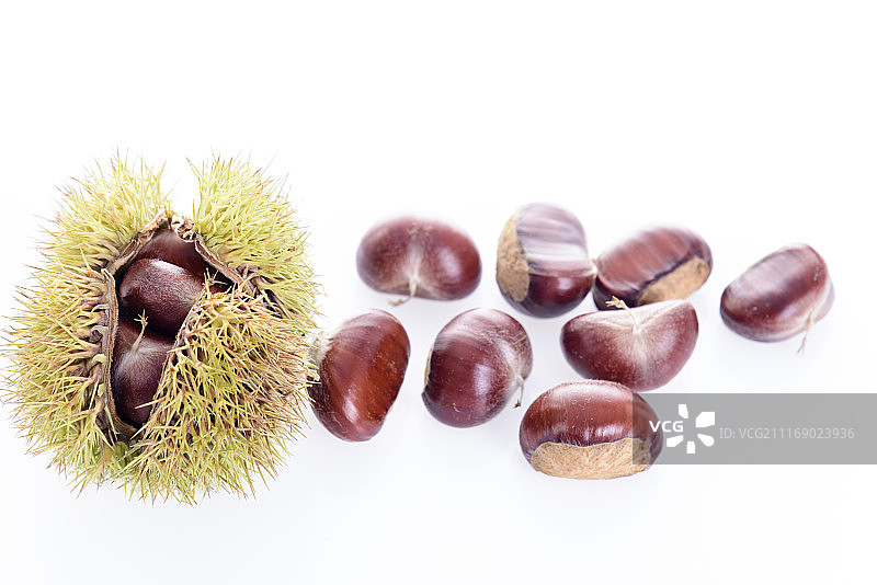 板栗图片素材