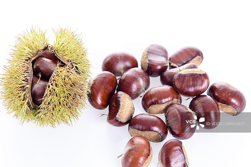 板栗图片素材