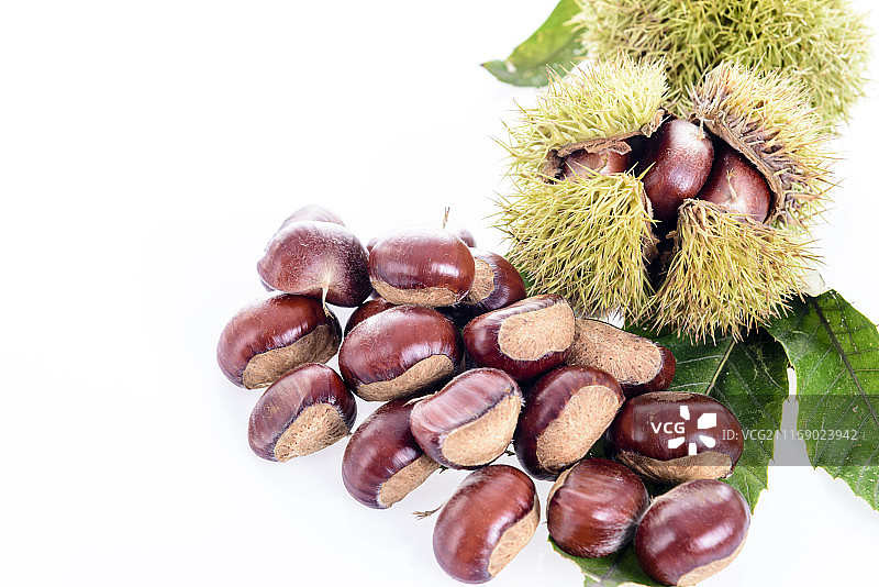 板栗图片素材