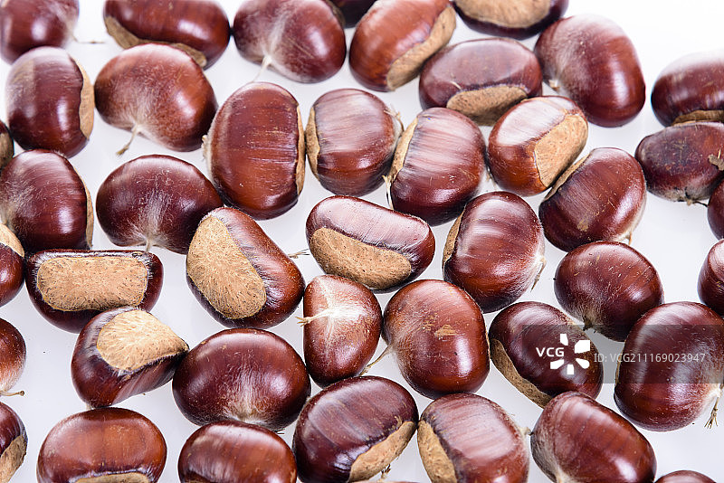 板栗图片素材