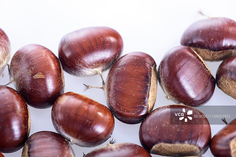 板栗图片素材