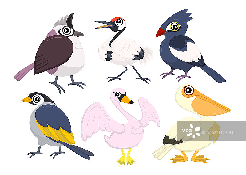 卡通鸟类集合素材，六种鲜艳鸟类图片素材