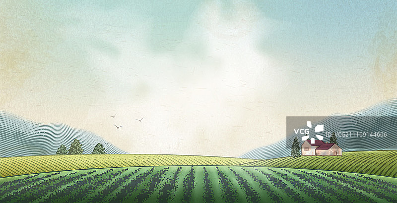 一望无际的田野风景，刻蚀风格背景素材图片素材