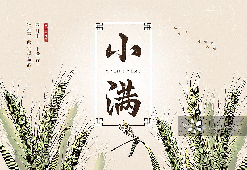 二十四节气小满海报设计，饱满绿色小麦背景与小满字样书法图片素材