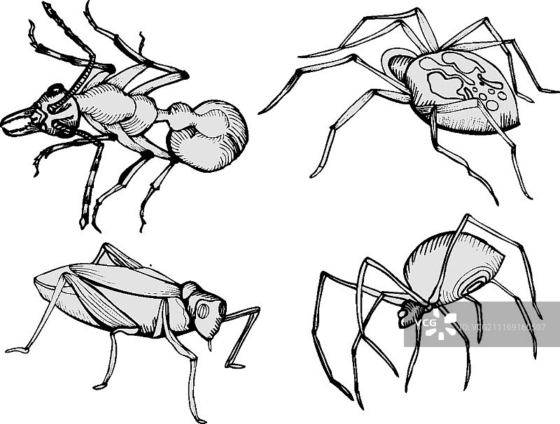 矢量图图片素材