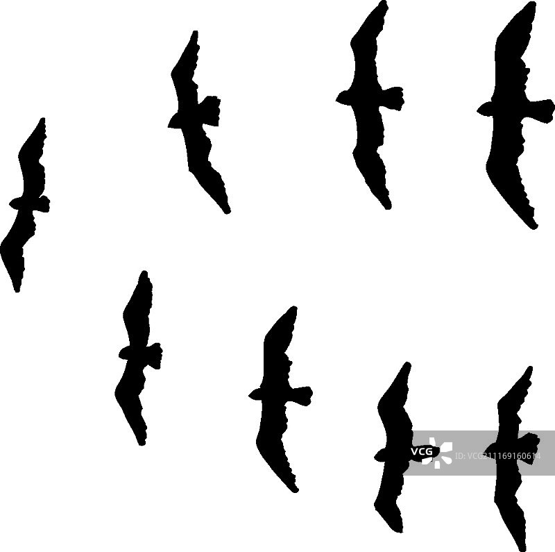 矢量图图片素材