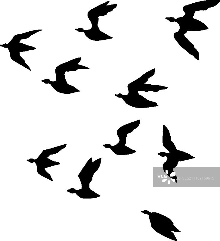 矢量图图片素材