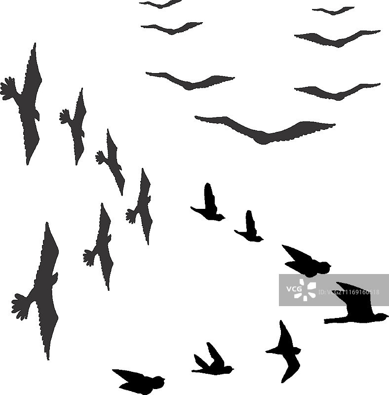 矢量图图片素材