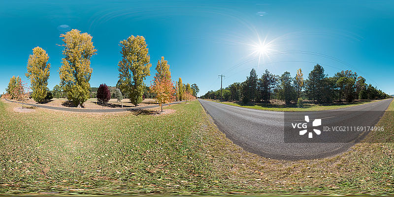乡间小路上，绿树成荫，秋高气扬图片素材