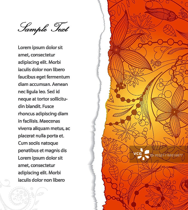 带花卉的撕裂纸板矢量图图片素材