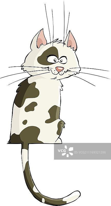 白色背景上的猫矢量图图片素材