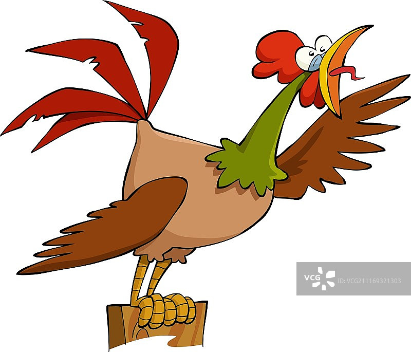 白色背景上的公鸡矢量图图片素材