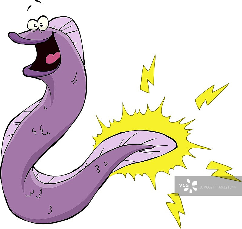 白色背景上的电鳗矢量插画图片素材