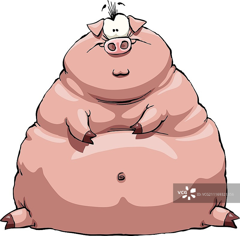 白色背景上的厚猪，矢量图图片素材