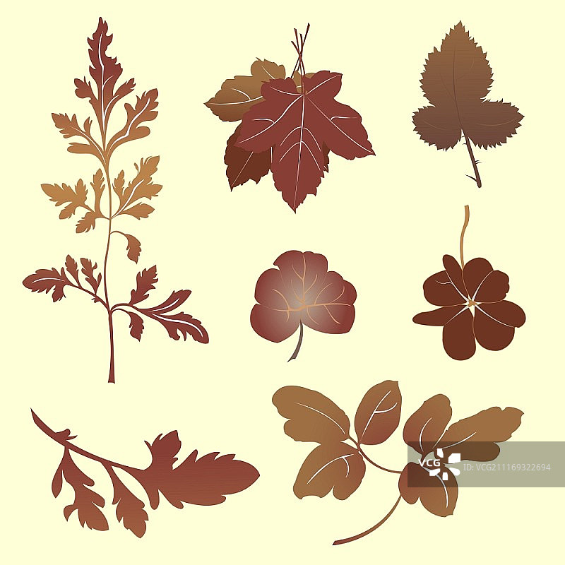 植物剪影设计矢量素材图片素材