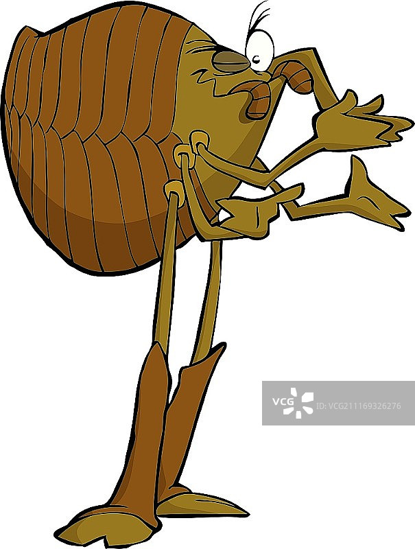 白色背景上的虱子矢量图图片素材