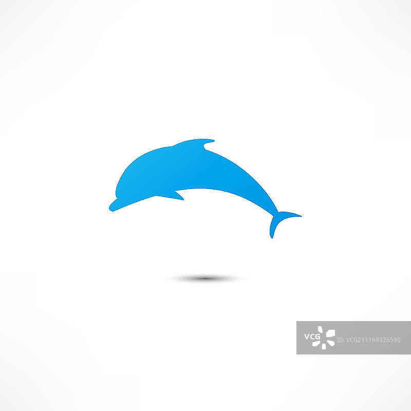 海豚图片素材