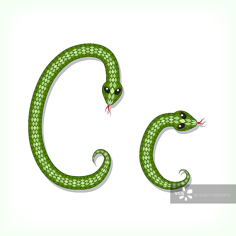 蛇形字体字母C图片素材