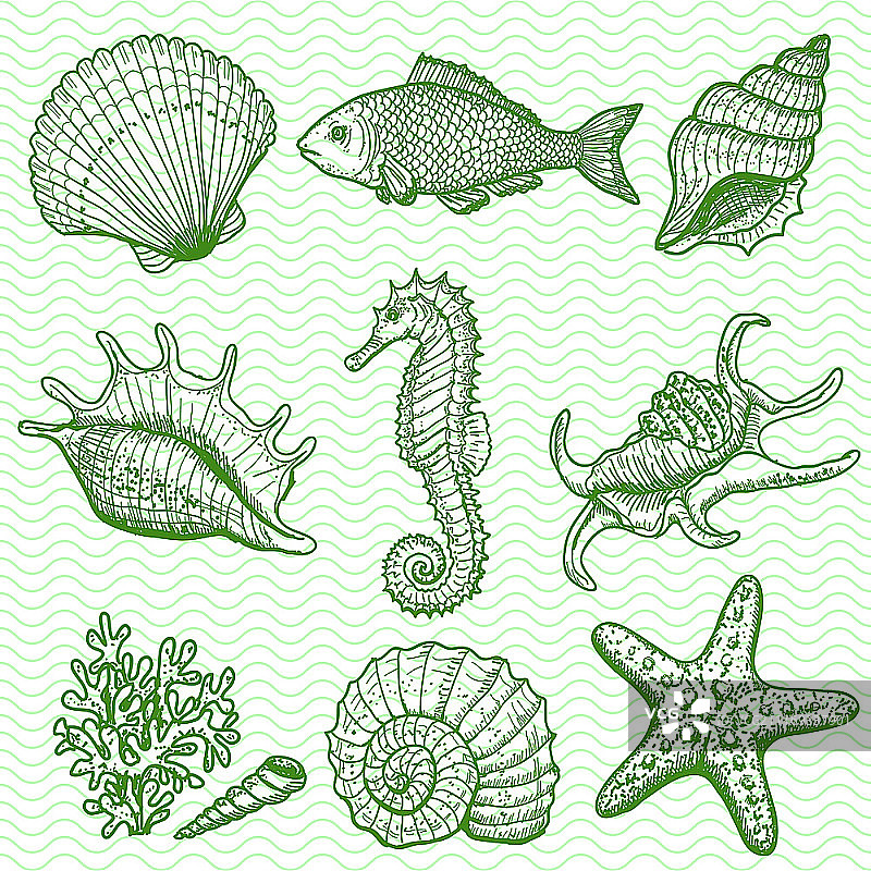 海洋系列手绘插画图片素材