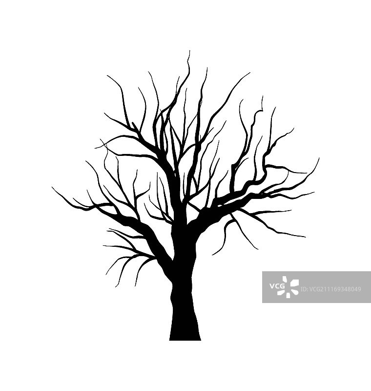 白色背景下的无叶枯树素描插画矢量图图片素材