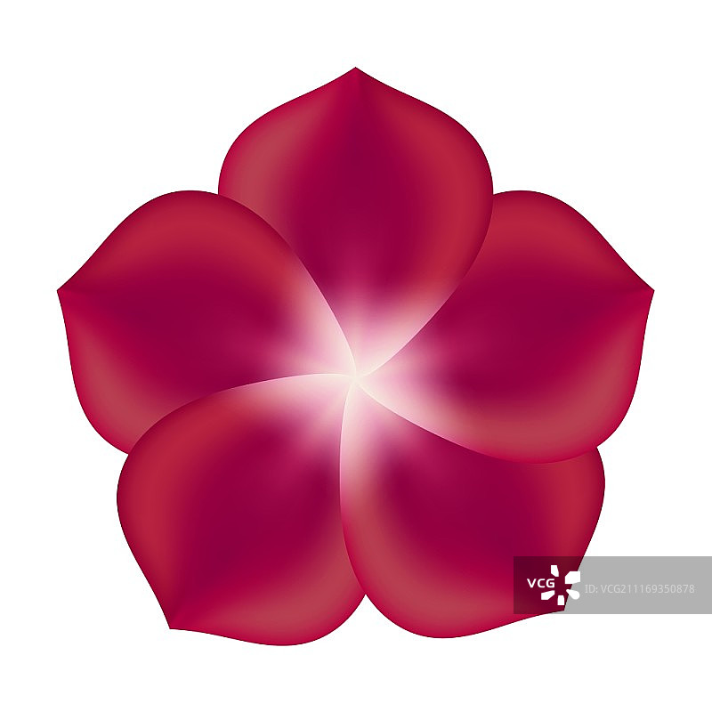 白色背景上的红色花朵矢量插图图片素材