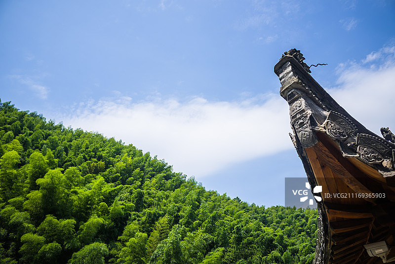 安徽木坑竹海图片素材