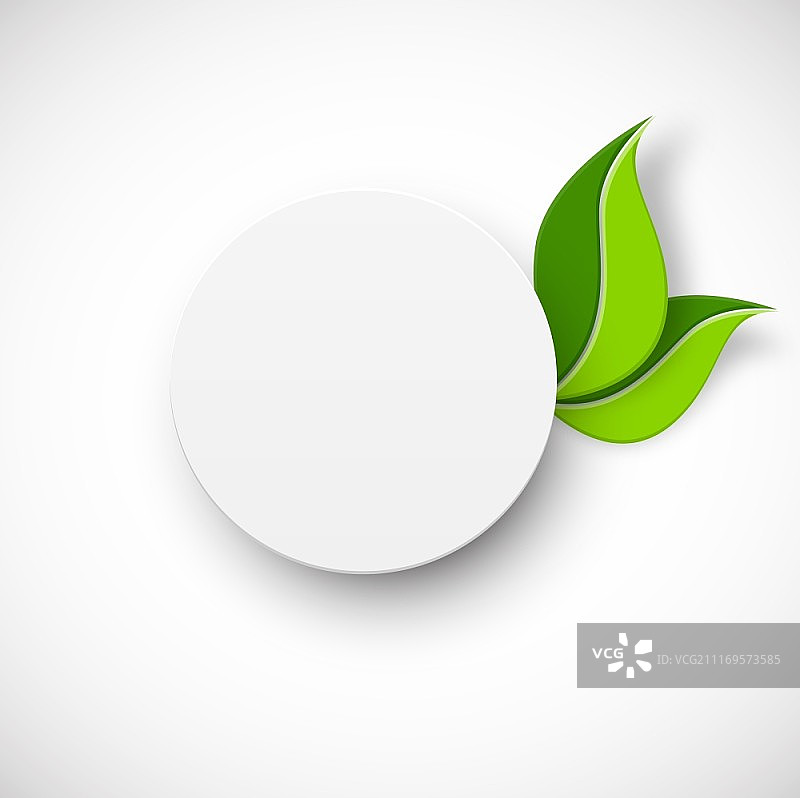 白色纸质圆圈与树叶，白色背景图片素材