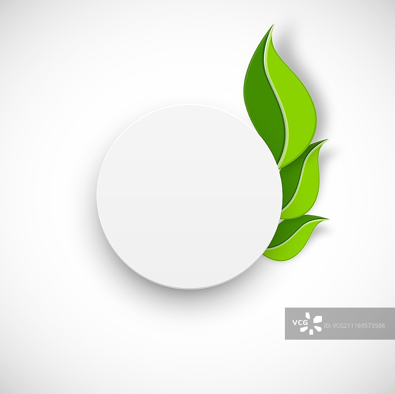 白色纸质圆圈与树叶，白色背景图片素材