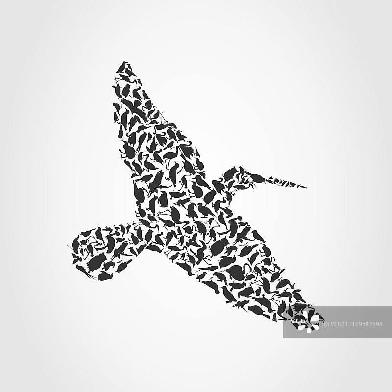 小鸟4，矢量插图图片素材