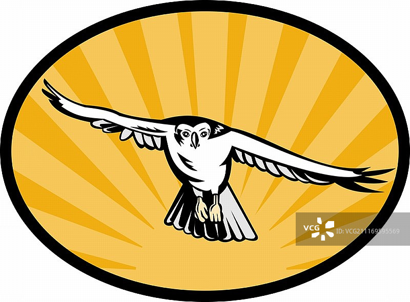 苍鹰俯冲而下的插画图片素材