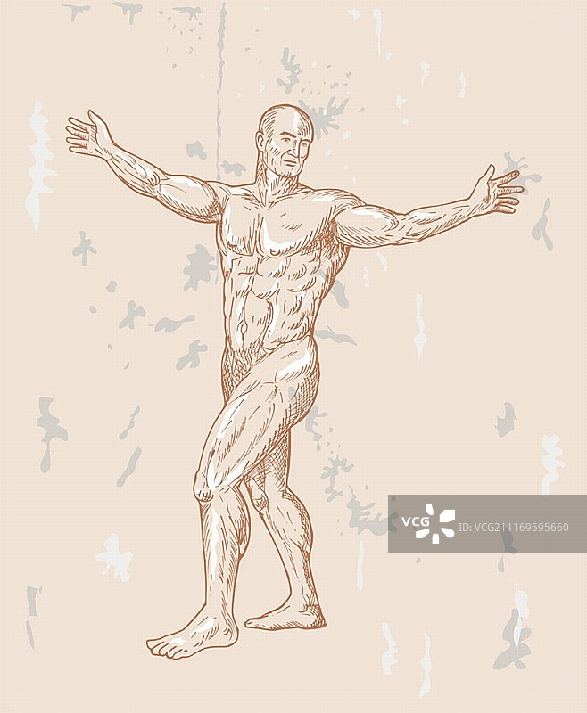 文艺复兴风格男性人体手绘插画图片素材