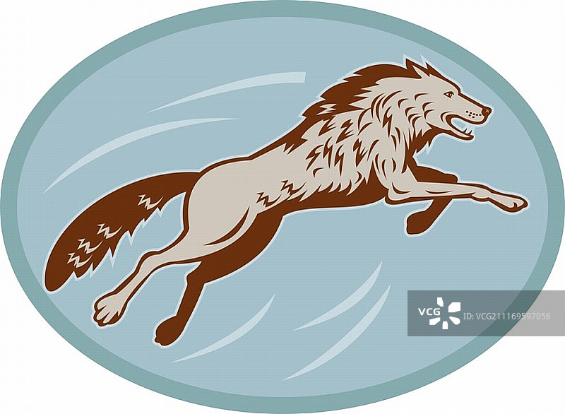 灰狼跳跃攻击侧视图插画图片素材