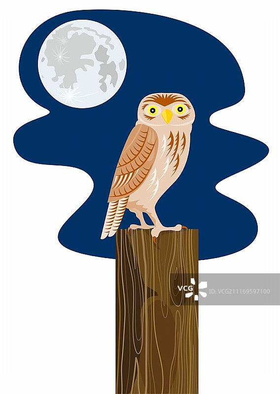 复古木刻风格月夜猫头鹰栖枝插画图片素材