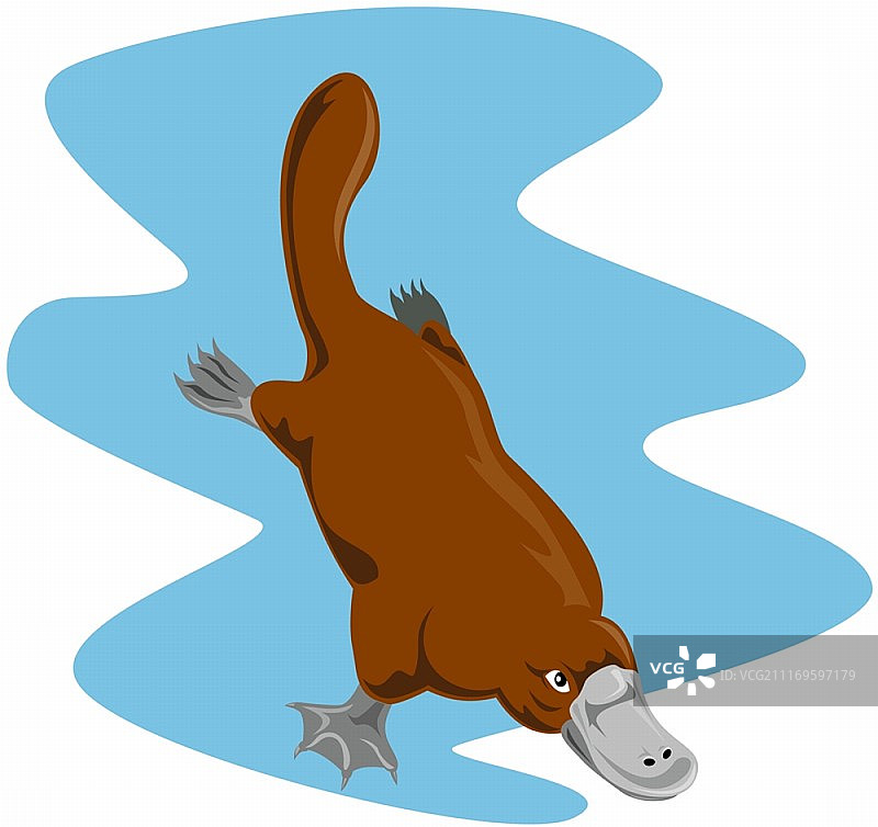 复古风格鸭嘴兽潜水插画图片素材