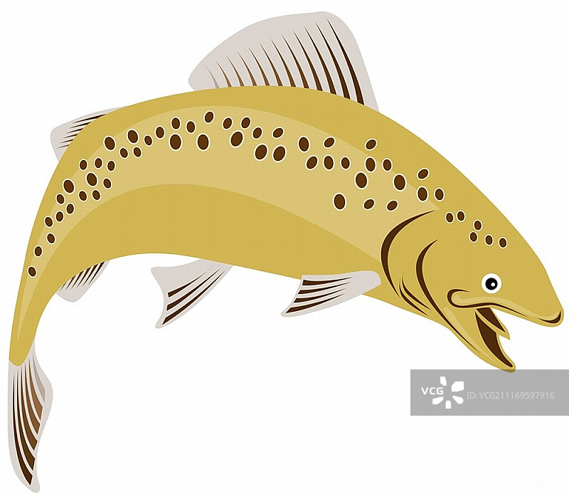 复古风格跃起的斑点鳟鱼插画图片素材