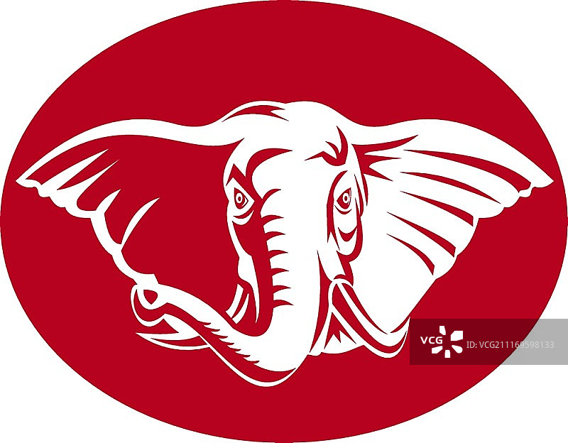 非洲象的头部图片素材