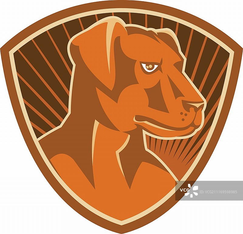 牧羊犬边境牧羊犬品种矢量图图片素材