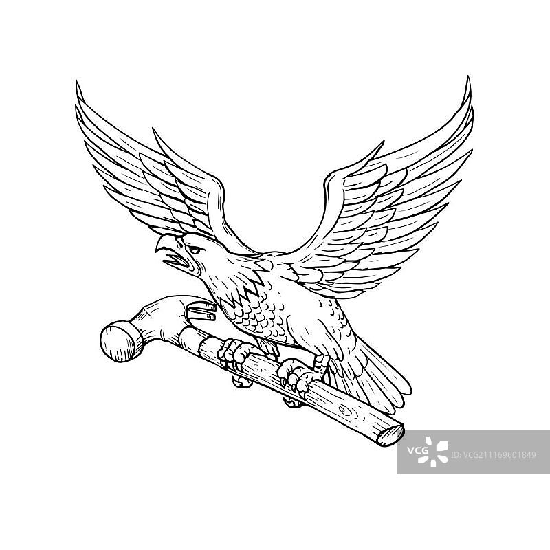 素描风格插画：美国秃鹰爪握锤子图片素材