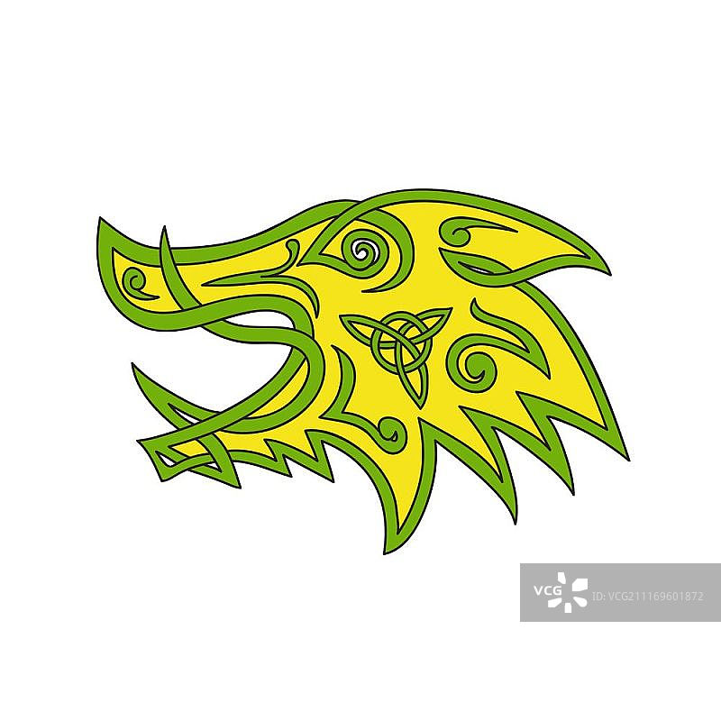 野猪的凯尔特结风格化插图，从侧面观察的野猪、猪或剃刀背头部以辫状工作或结状编织成不间断的绳索设计..野猪头凯尔特结图片素材