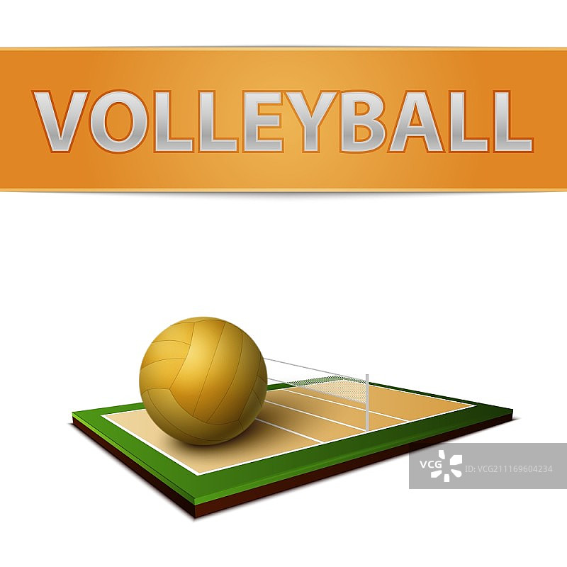 逼真的排球和场地标志矢量素材图片素材