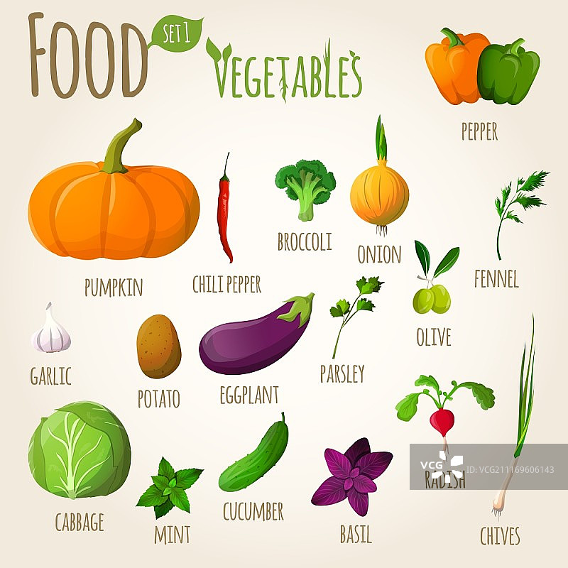 蔬菜涂鸦合集：辣椒、南瓜、西兰花、洋葱、茴香、大蒜矢量插图图片素材