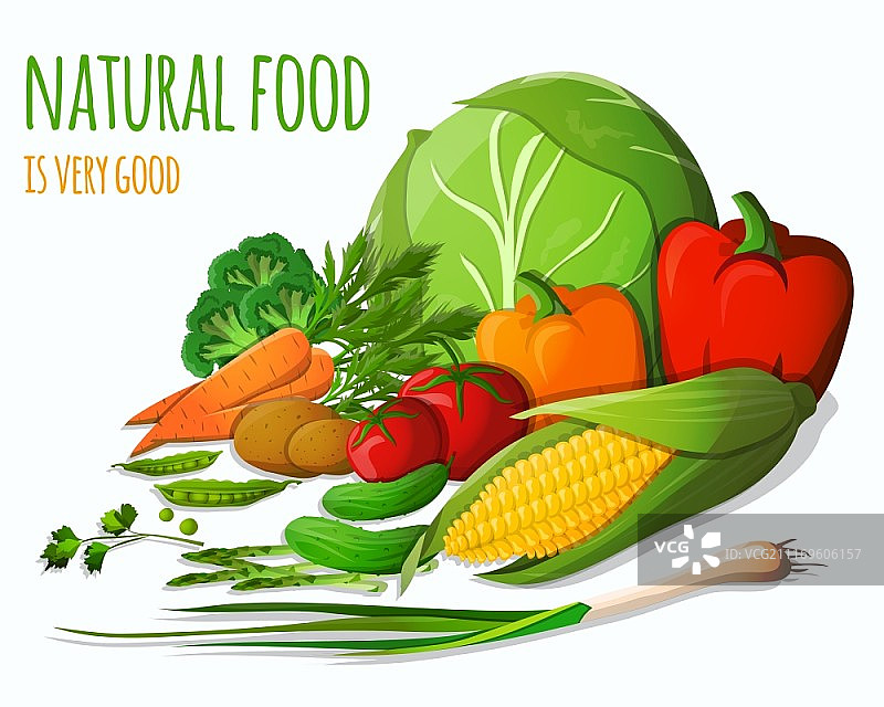 蔬菜静物美食：胡萝卜辣椒番茄土豆韭菜西兰花矢量图图片素材