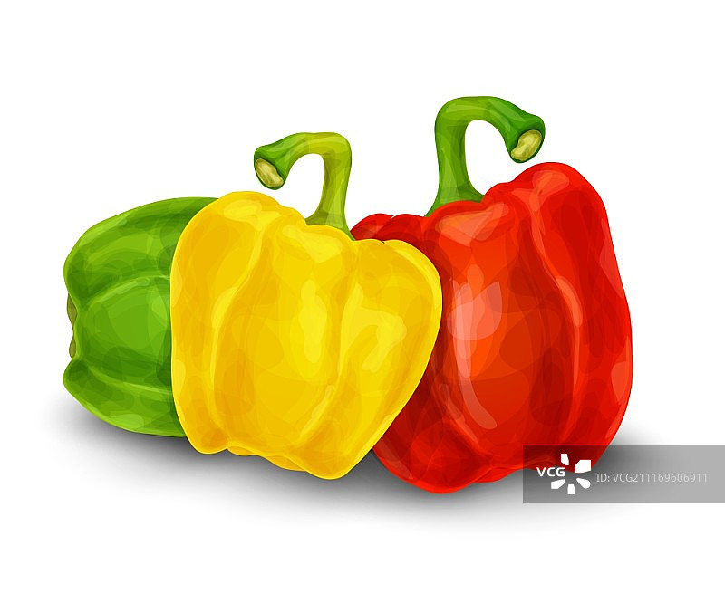 白色背景上的有机蔬菜甜椒矢量图图片素材