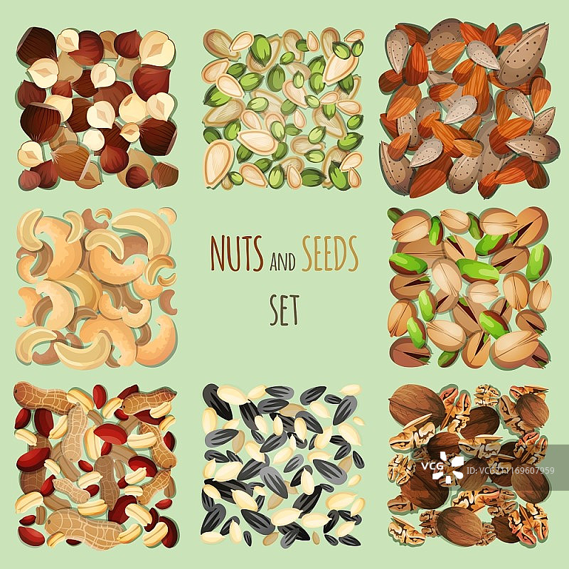 坚果和种子混合装饰元素矢量图图片素材