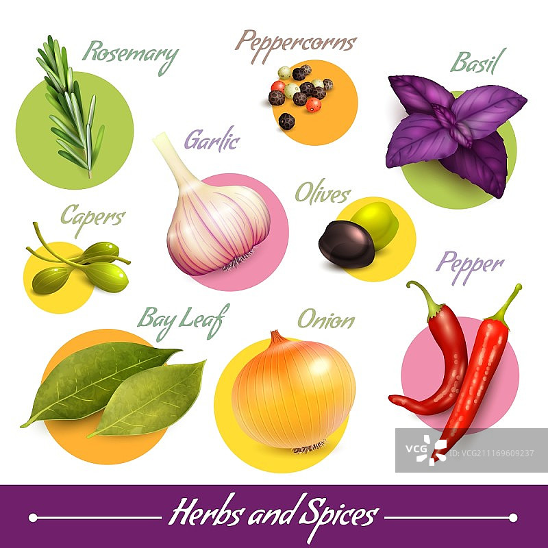 草药和香料装饰元素：胡椒、罗勒、橄榄矢量素材图片素材